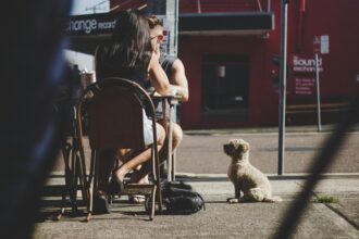 The Best Cafes in Seattle for Remote Work