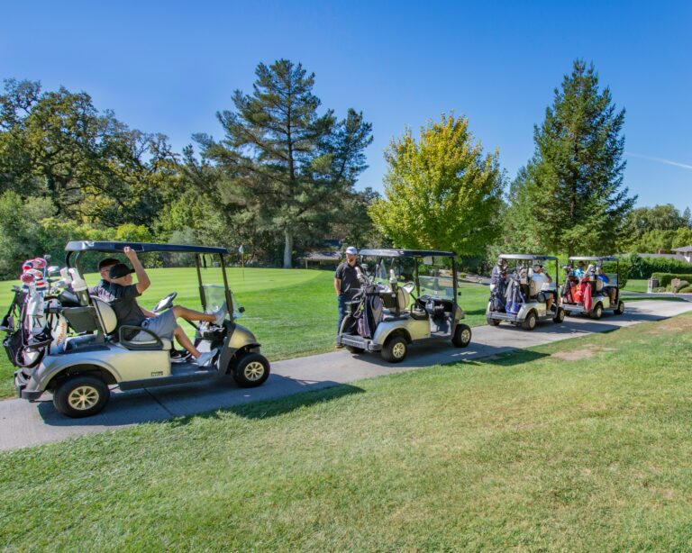Golf Cart Prices in Washington State