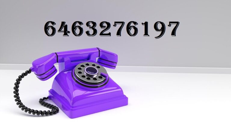 6463276197 – Learn All About 6463276197