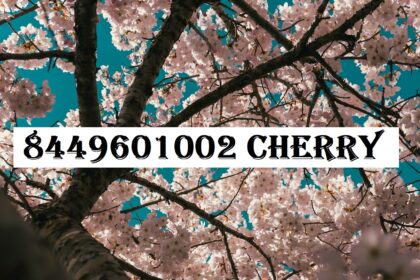 8449601002 Cherry