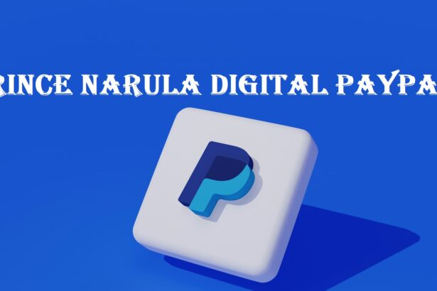 Prince Narula Digital Paypal