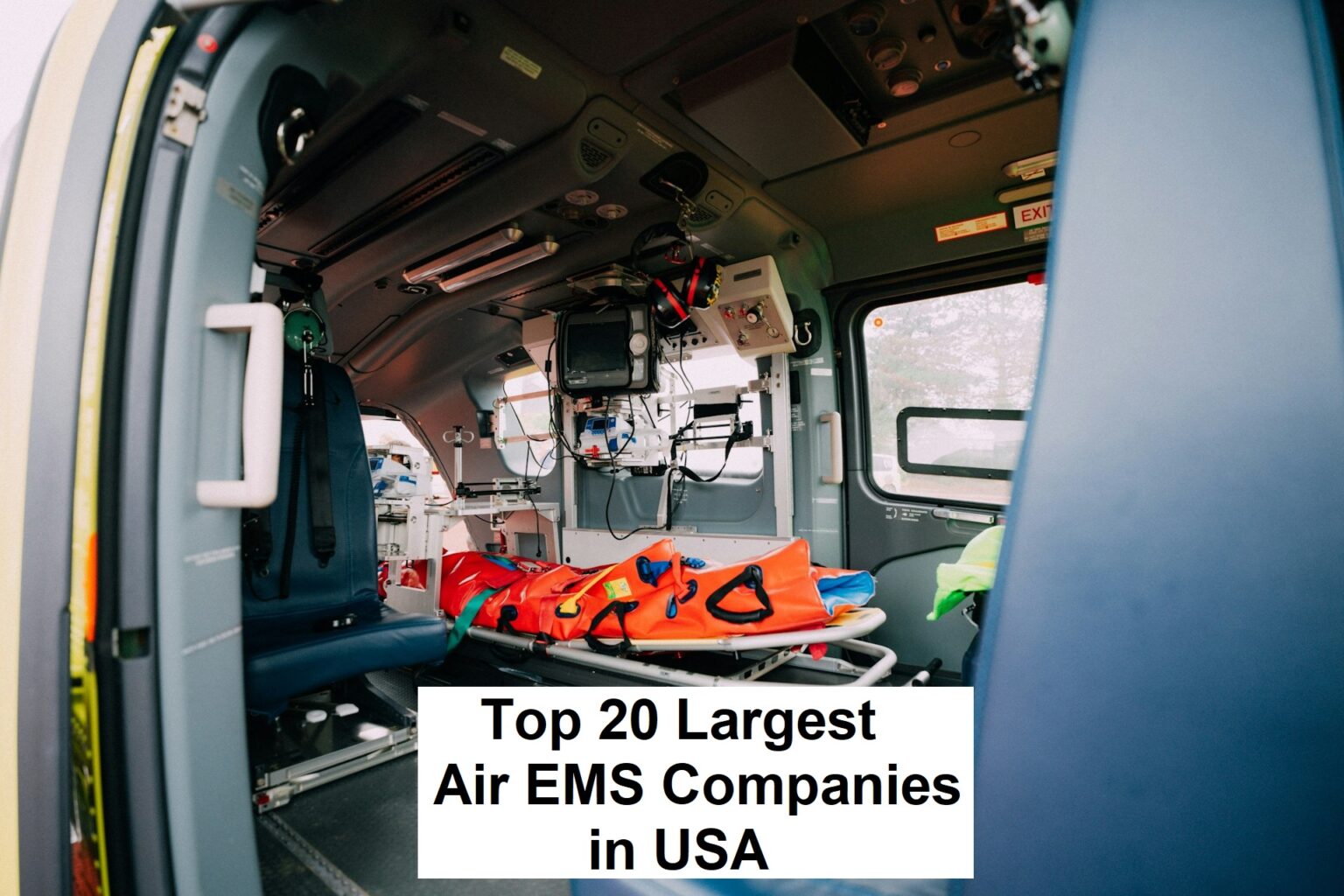Top 20 Largest Air EMS Companies in USA in 2025 - Built In Washington