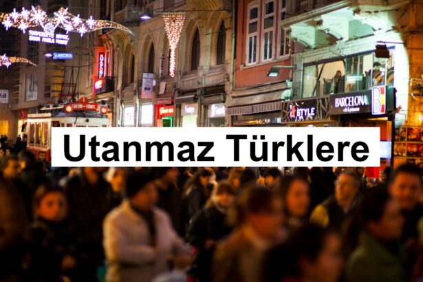 utanmaz türklere